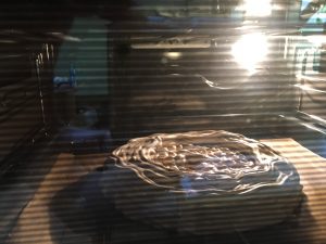 TortBezea2